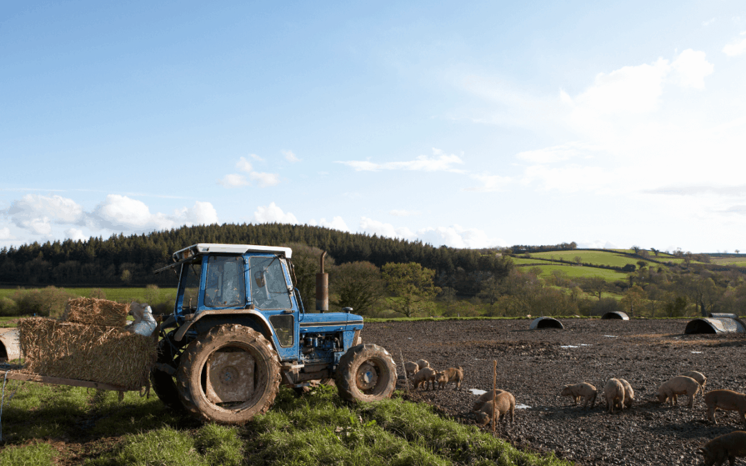 Agricultural & Business Property Relief: What’s Changing & What Farms Should Know.